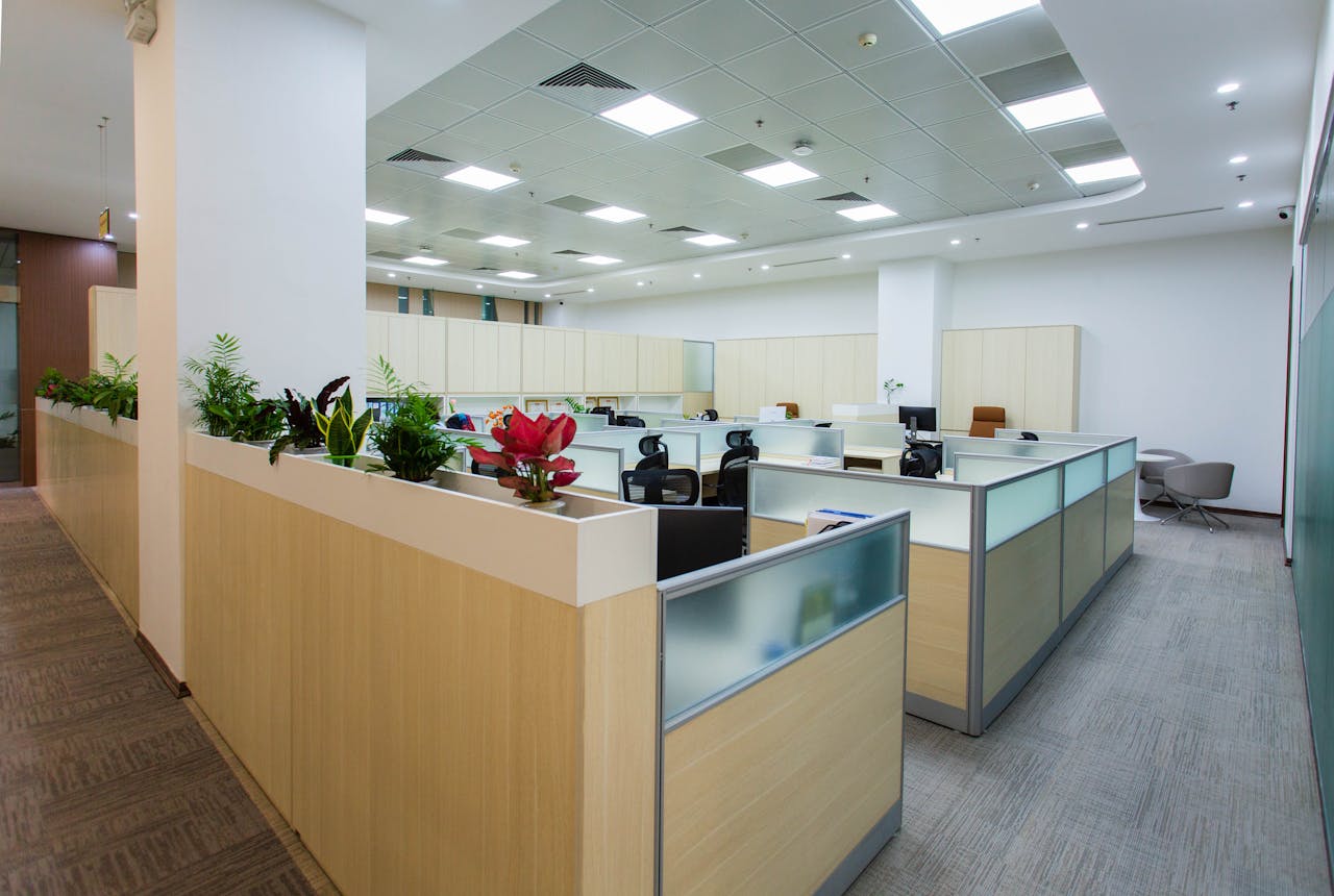 Understanding Your Office Needs